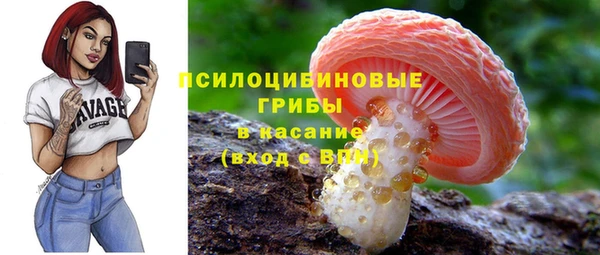 винт Алзамай