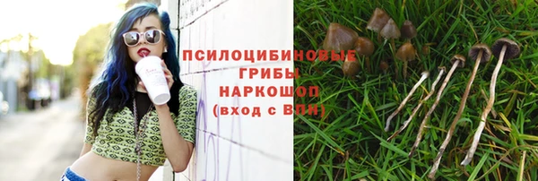 герыч Алексин